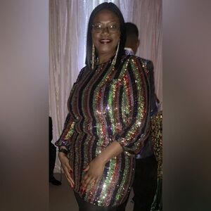 Multi-Colored Sequined dress. Mini dress great for holiday parties.